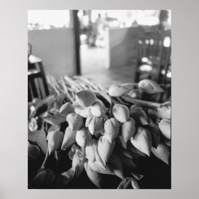 Siem Reap Cambodia, Lotus Blume Poster (Vorne)