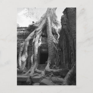 Siem Reap, Kambodscha. Direkt außerhalb von Siem R Postkarte