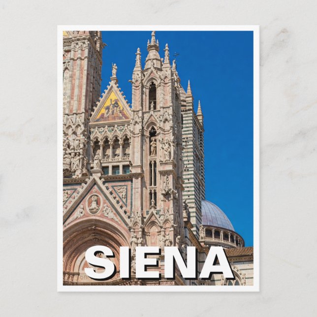 Siena Italien Reisesaal Duomo Kathedrale Postkarte (Vorderseite)