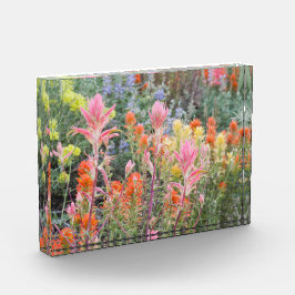 Sierra Buttermilch-Wildblumen Fotoblock