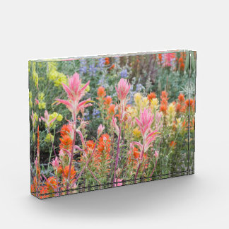 Sierra Buttermilch-Wildblumen Fotoblock