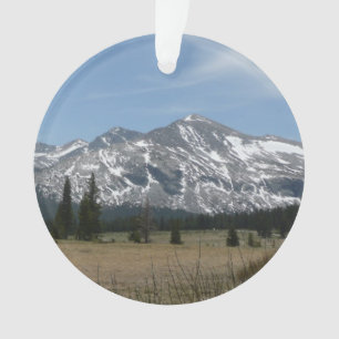 Sierra Nevada Berge I von Yosemite Ornament