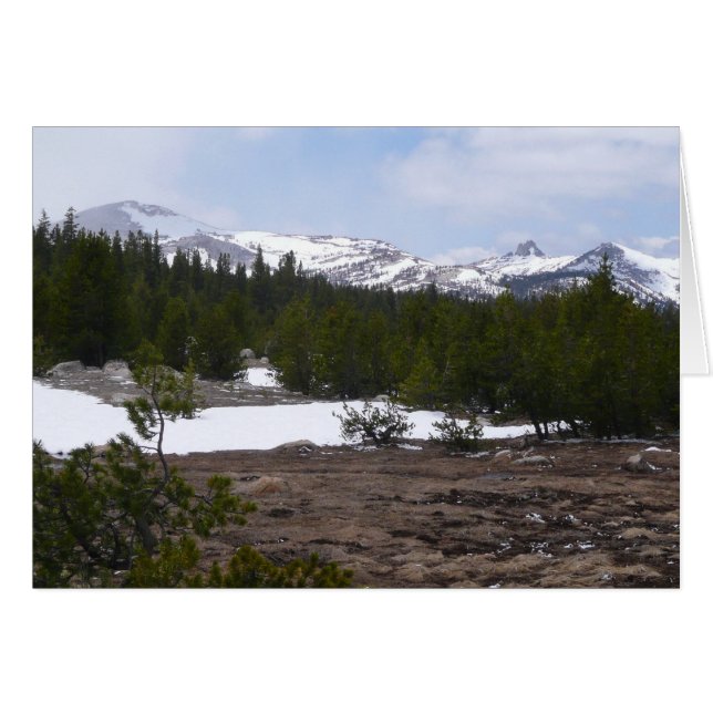 Sierra Nevada Berge und Schnee auf Yosemite (Vorderseite (Horizontal))