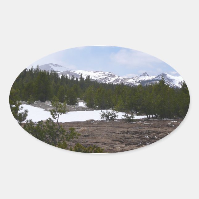 Sierra Nevada Berge und Schnee auf Yosemite Ovaler Aufkleber (Vorderseite)