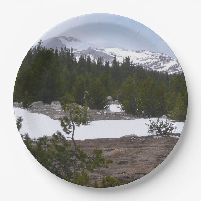 Sierra Nevada Berge und Schnee auf Yosemite Pappteller (Vorderseite)