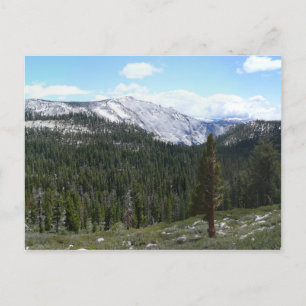 Sierra Nevada Mountains II von Yosemite Postkarte