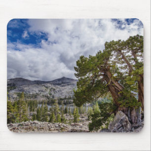 Sierra-Wacholder und immergrüne Bäume Mousepad