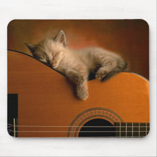 Siesta des Kätzchens auf Gitarre Mousepad