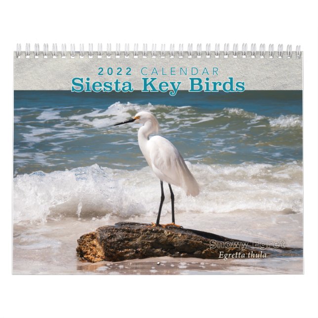 Siesta Key Birds - Kalender 2022 (Titelbild)