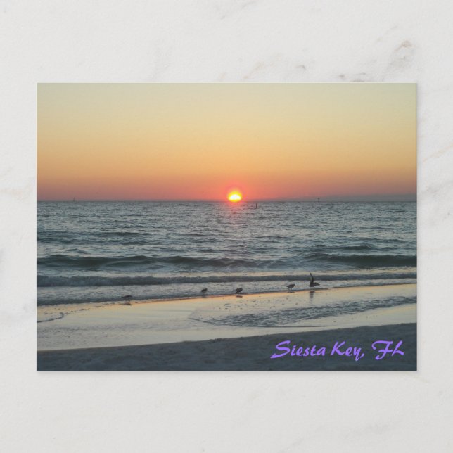Siesta Key Florida Sunset Postkarte (Vorderseite)