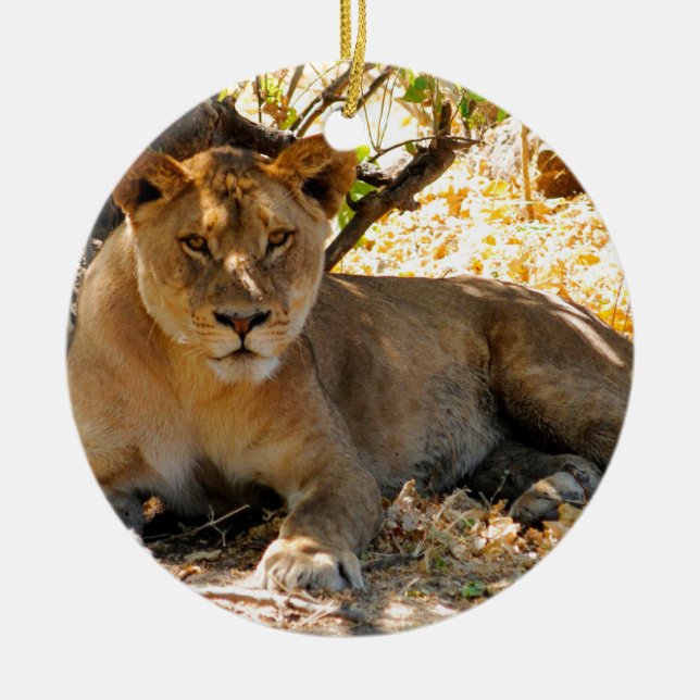 Siesta Time Keramik Ornament (Vorne)