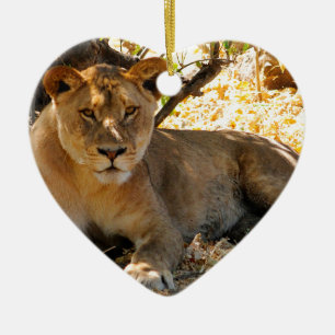 Siesta Time Keramikornament