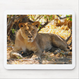 Siesta Time Mousepad