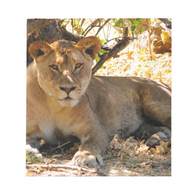 Siesta Time Notizblock (Vorderseite)