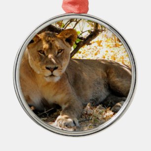 Siesta Time Silbernes Ornament