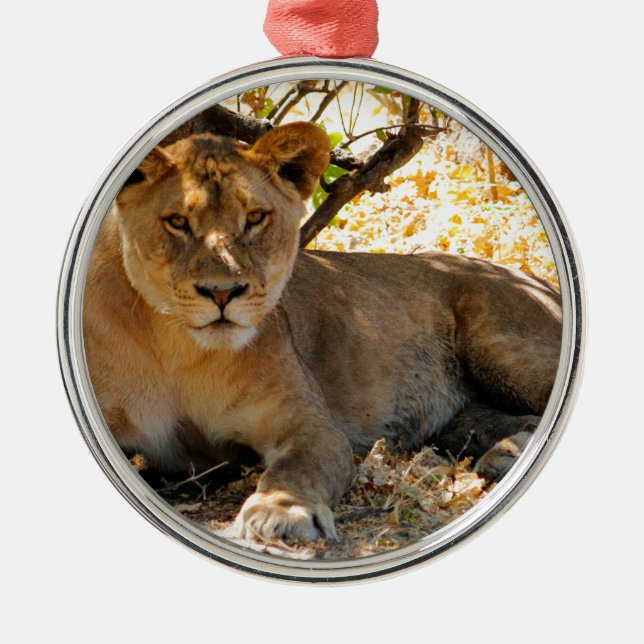 Siesta Time Silbernes Ornament (Vorne)