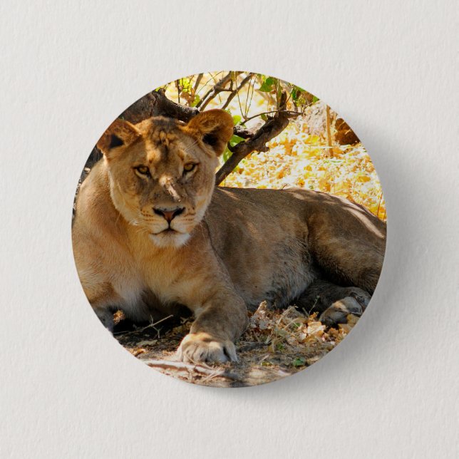 Siesta-Zeit Button (Vorderseite)