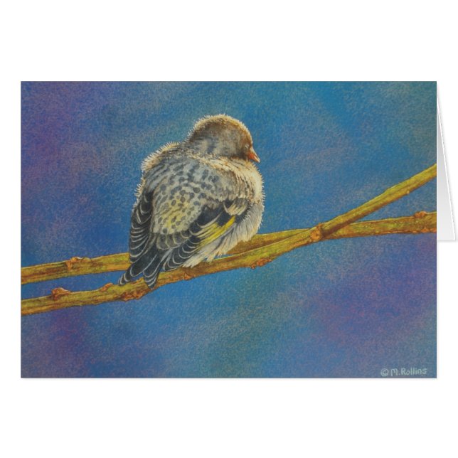 Sièste de Siskin (Devant horizontal)