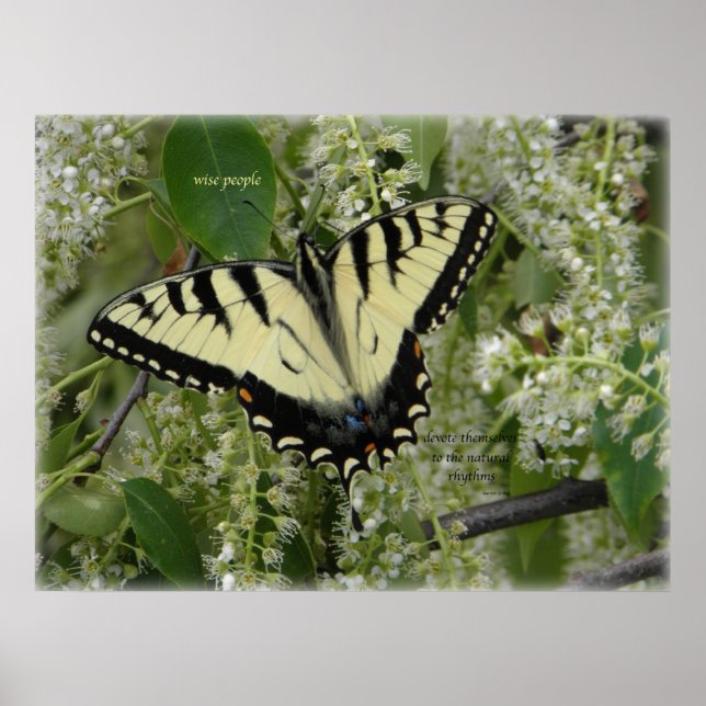 SIGH_ets_loa_P5140161g Poster (Vorne)