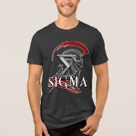 SIGMA 3b Herren Basic T-Shirt Tri-Blend Shirt