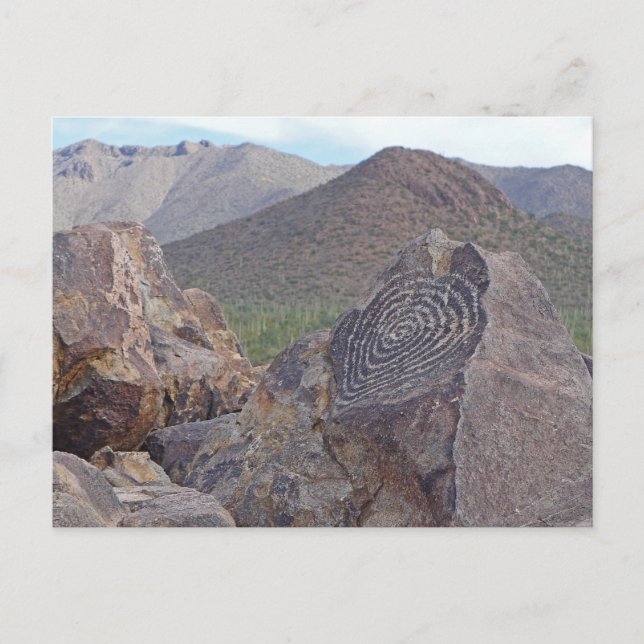 Signal Hill Petroglyph - Saguaro NP - Arizona Postkarte (Vorderseite)