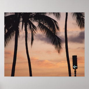 Signal und Palme Poster