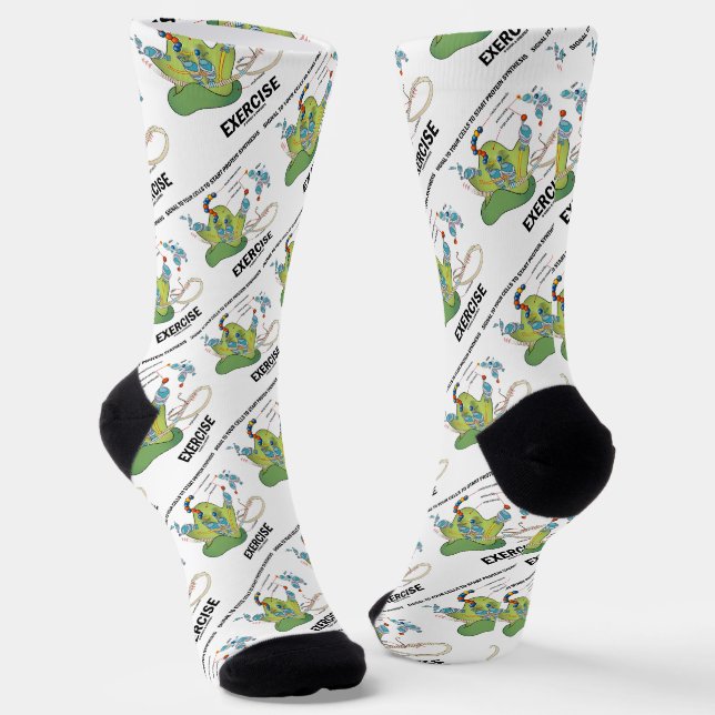 Signalzellen zum Starten der Proteinsynthese Socken (Gewinkelt)