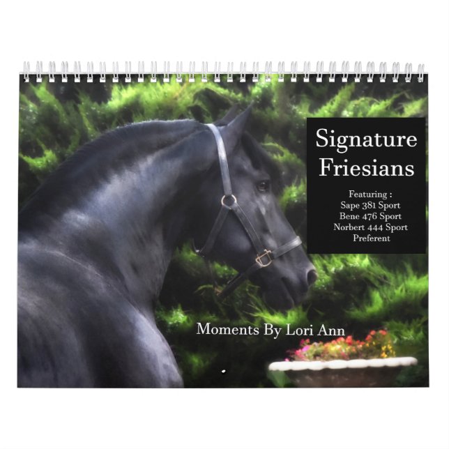 Signatur-Friesische Stallionen Kalender (Titelbild)