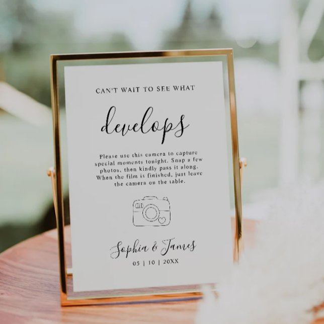 Signatur für Hochzeitsszenario-Foto Sockelschild (Wedding Disposable Camera Sign Wedding Photo Sign)