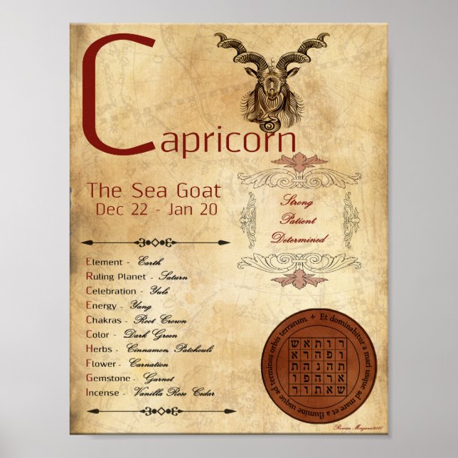 SIGNE DE NAISSANCE ZODIAC CAPRICORN POSTER (Devant)