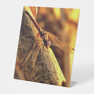 Signe De Table 534424932Elegant Red Darter Dragonfly Insect Art