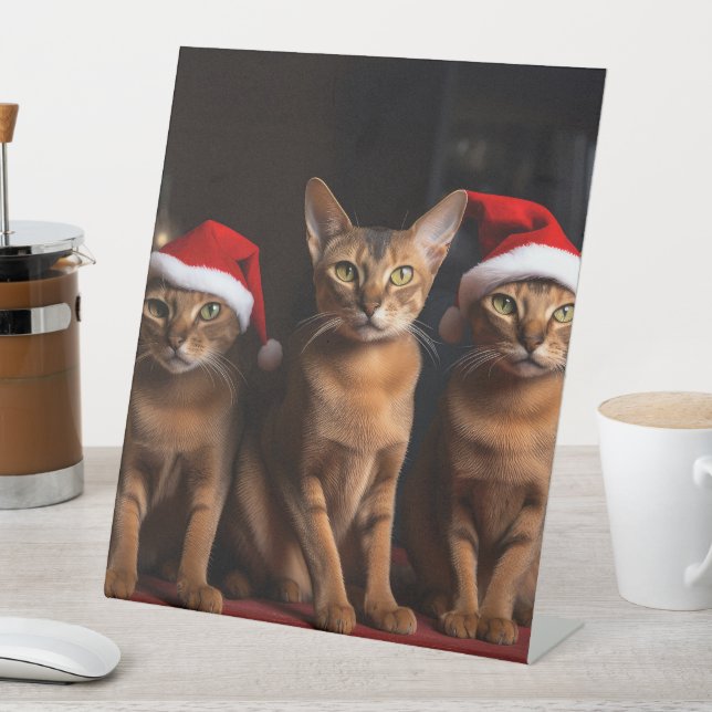 Signe De Table Abyssinian près de la cheminée Noël (In SItu)