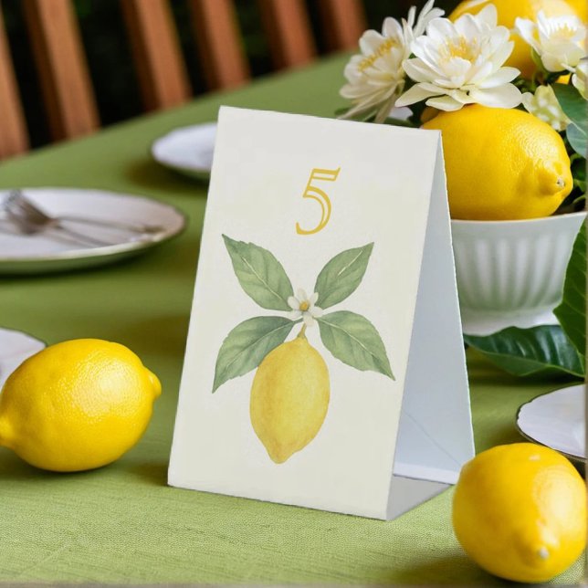 Signe De Table Aquarelle Lemon Anniversaire (Créateur téléchargé)