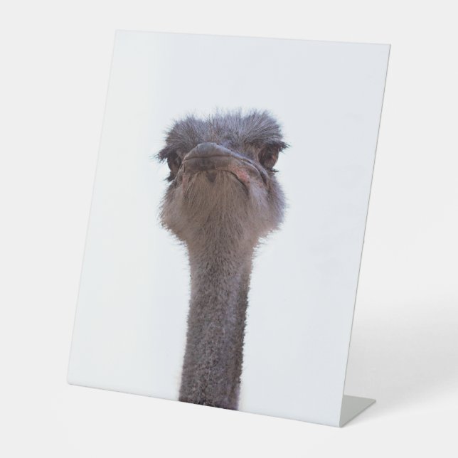 Signe De Table autruche (Recto)