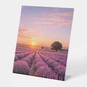 Signe De Table Champ de lavande en fleurs au coucher de soleil do