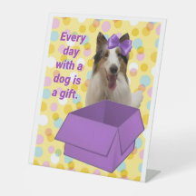 Chaque jour avec un chien est un cadeau