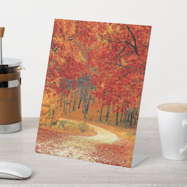 Signe De Table Chemin dans la forêt, automne (In SItu)