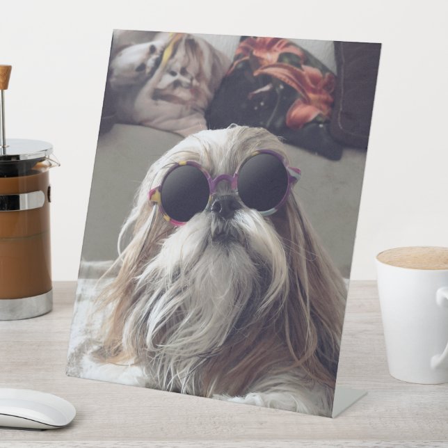 Signe De Table Cool Shih Tzu cheveux longs Lunettes de soleil vin (In SItu)