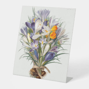 Signe De Table Crocus Spring Flower Botanique Floral Art