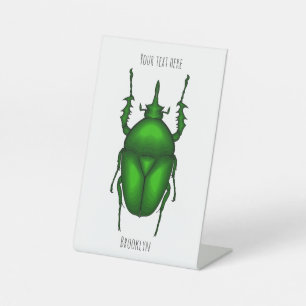 Signe De Table Illustration de bug Mecynorhina torquata