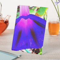 Joli floral