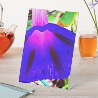 Signe De Table Jolie Florale