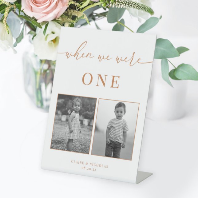 Signe De Table Mariage élégant moderne Numéro de table d'âge (Créateur téléchargé)