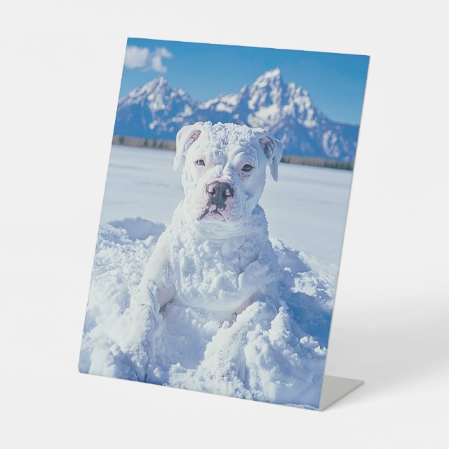 Signe De Table Noël Pitbull Chien Snowman (Recto)