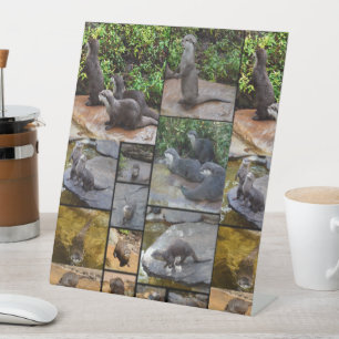 Signe De Table Otter Photo Collage