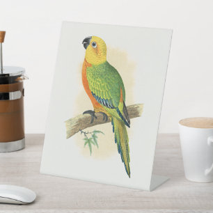 Signe De Table Perroquet, Conure Jendaya,