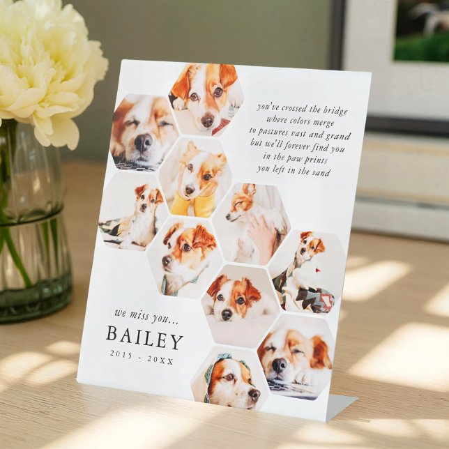 Signe De Table Pet Memorial Modern Simple 10 Photo Collage Card (Créateur téléchargé)