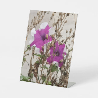 Signe De Table Photo de fleurs violettes