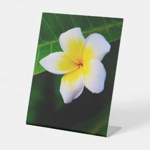 Signe De Table Photographie de fleurs de plumeria