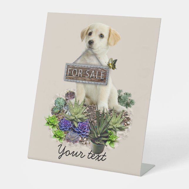 Signe De Table Succulents à vendre (Recto)